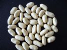 Blanched Peanut Kernels